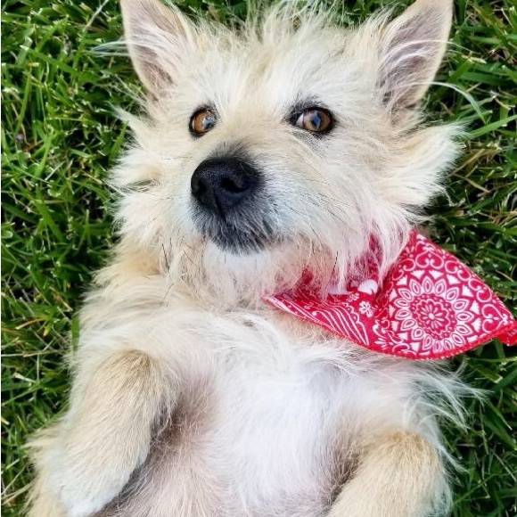 Hi! My name is Renée, welcome to my Closet on Poshmark🩷 - Picture 10 of 10